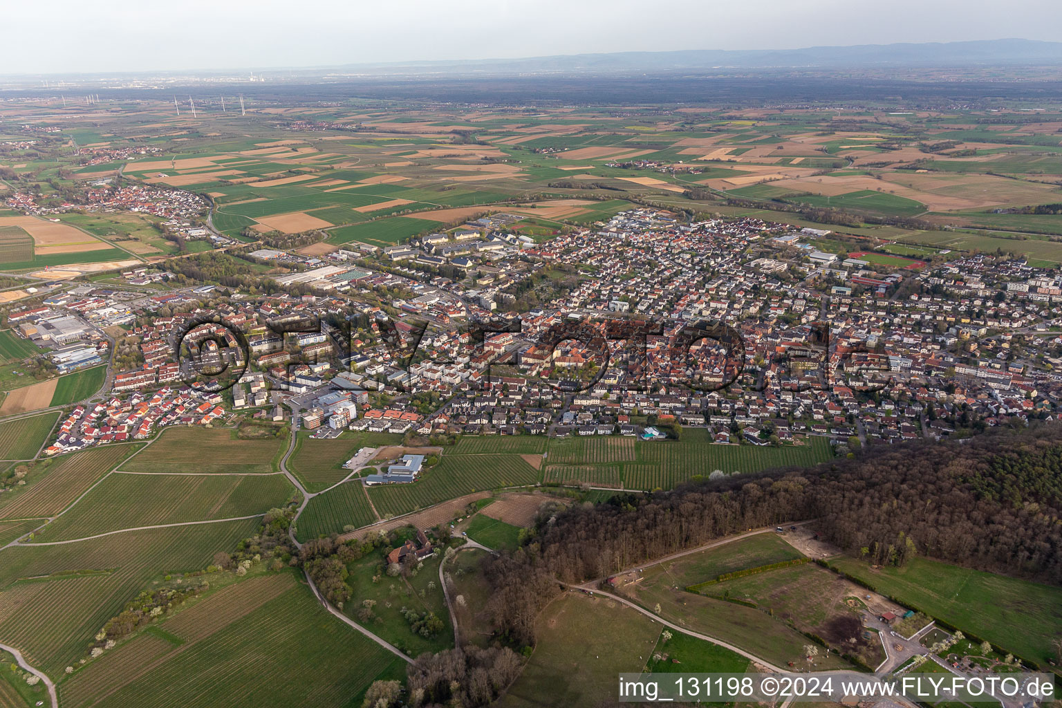 Vue oblique de Bad Bergzabern dans le département Rhénanie-Palatinat, Allemagne