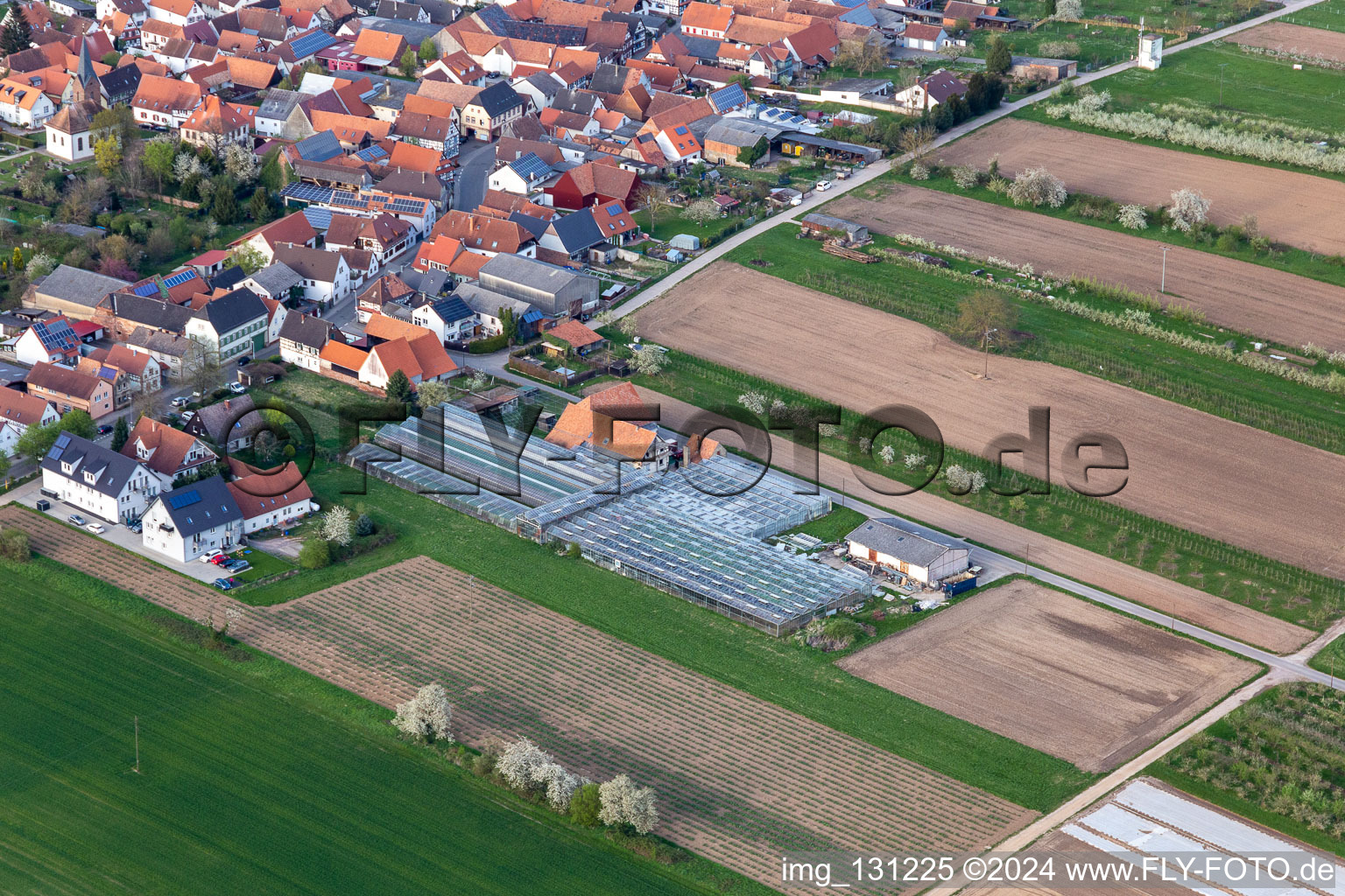 Vue aérienne de Ancienne ferme maraîchère du Grasweg à Winden dans le département Rhénanie-Palatinat, Allemagne