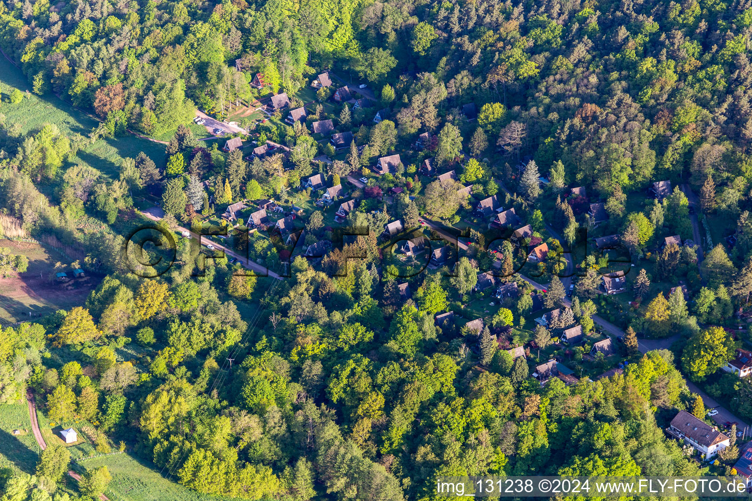 Vue aérienne de Village de vacances Sonnenberg à Leinsweiler dans le département Rhénanie-Palatinat, Allemagne