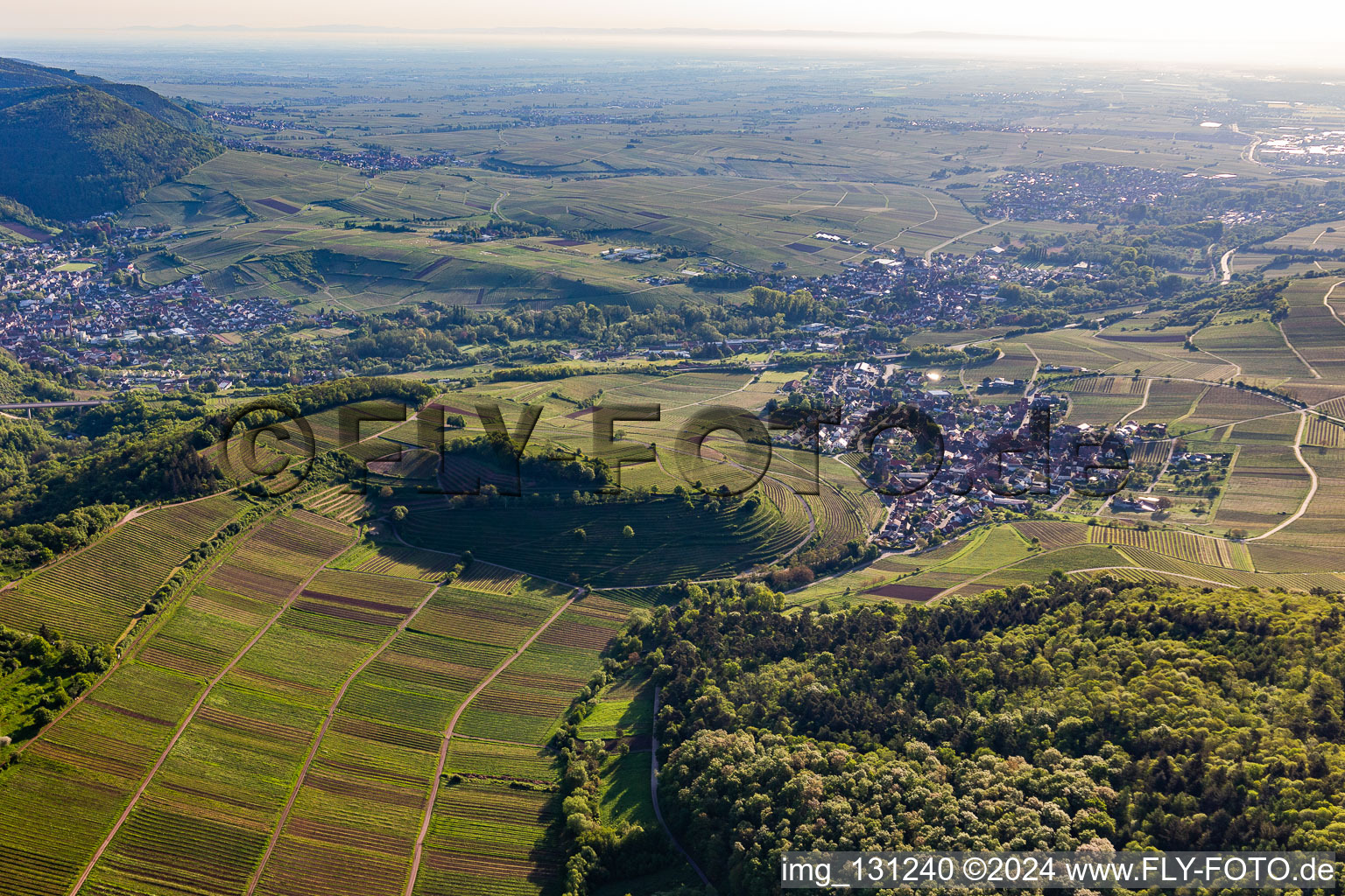 Vue aérienne de Châtaignier à Birkweiler dans le département Rhénanie-Palatinat, Allemagne