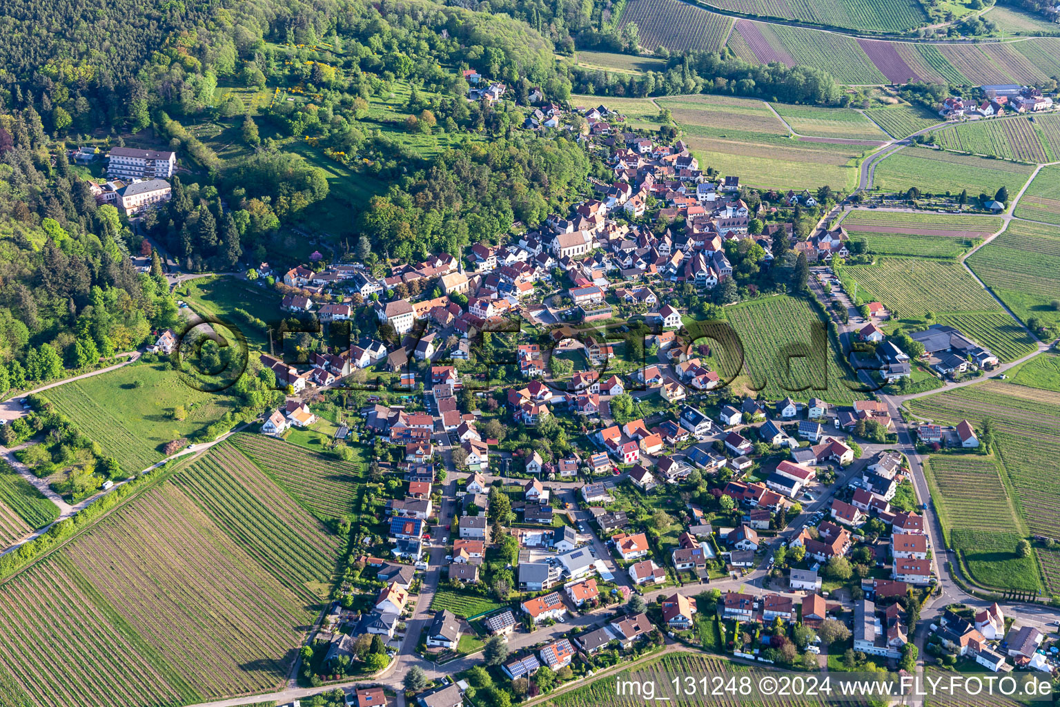 Vue oblique de Frankweiler dans le département Rhénanie-Palatinat, Allemagne