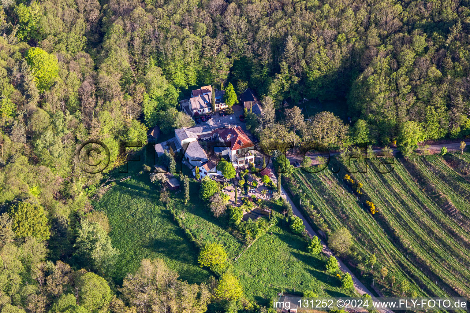 Vue aérienne de Maison d'hôtes Sankt Annagut à Burrweiler dans le département Rhénanie-Palatinat, Allemagne