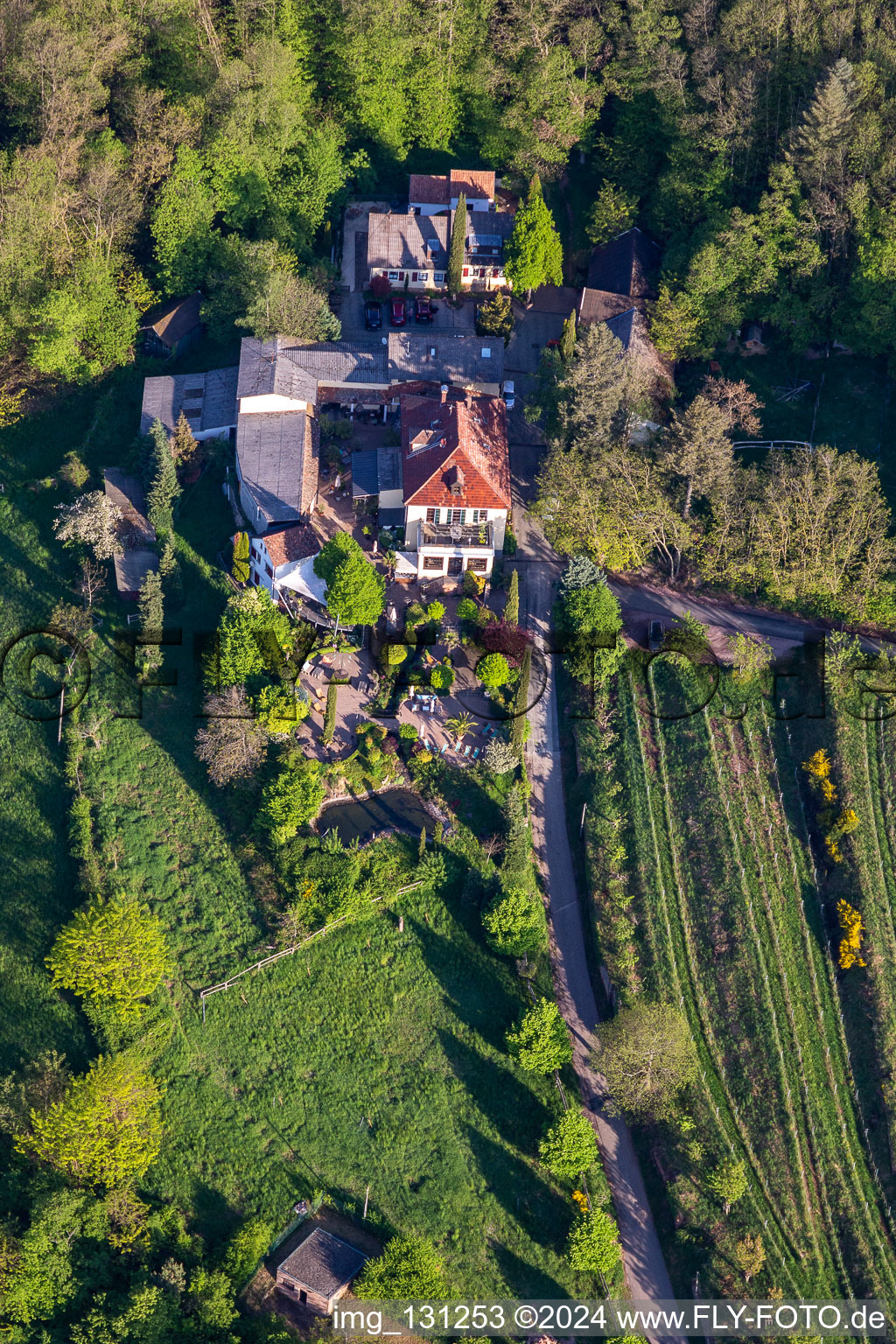 Vue aérienne de Maison d'hôtes Sankt Annagut à Burrweiler dans le département Rhénanie-Palatinat, Allemagne