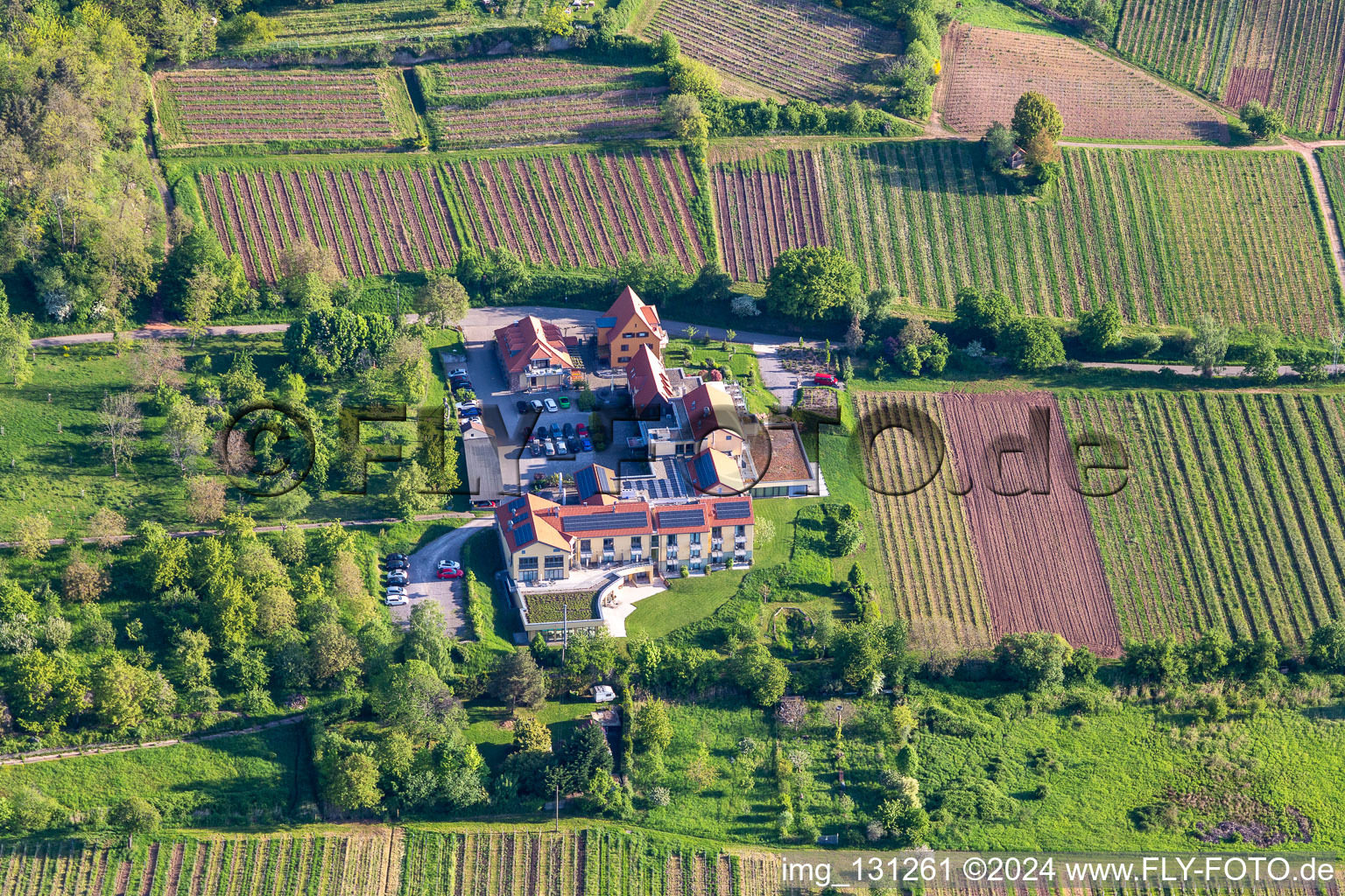 Vue aérienne de Hôtel de bien-être Alte Rebschule et Gasthaus Sesel à le quartier Rhodt in Rhodt unter Rietburg dans le département Rhénanie-Palatinat, Allemagne