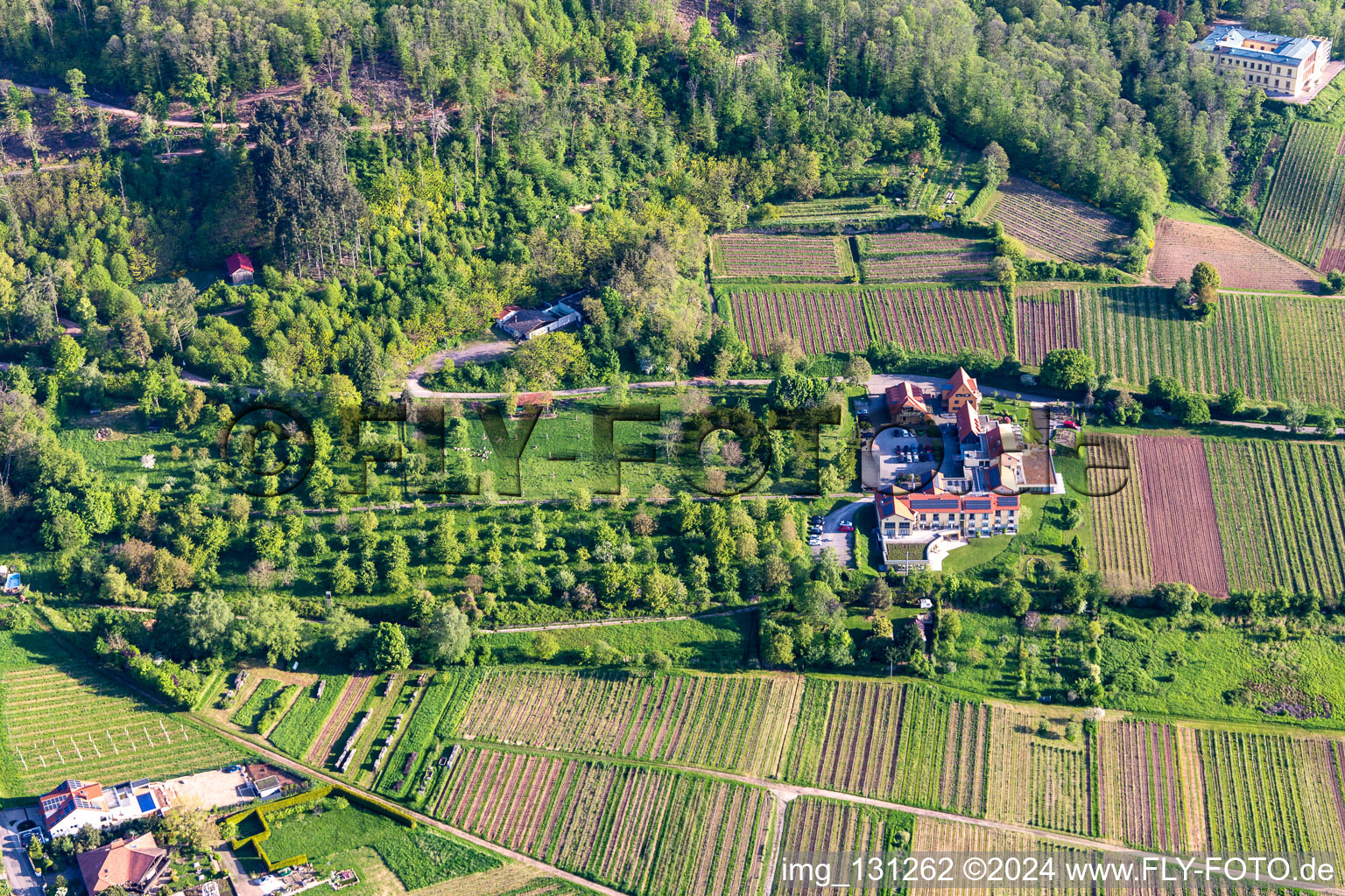 Vue aérienne de Hôtel de bien-être Alte Rebschule et Gasthaus Sesel à le quartier Rhodt in Rhodt unter Rietburg dans le département Rhénanie-Palatinat, Allemagne