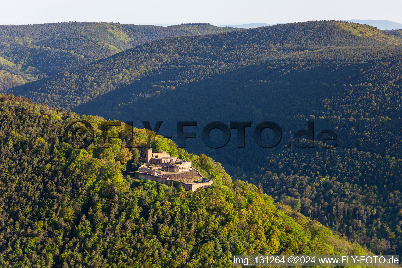 Vue aérienne de Ruines du château de Rietburg à le quartier Rhodt in Rhodt unter Rietburg dans le département Rhénanie-Palatinat, Allemagne