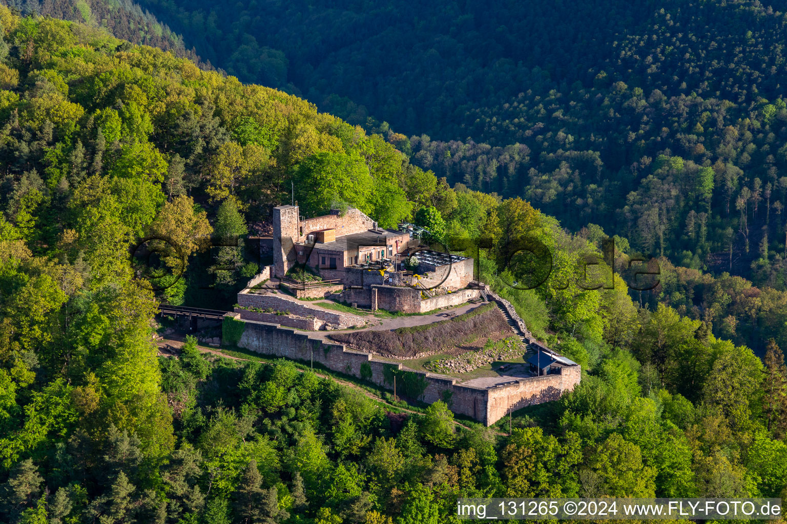 Vue aérienne de Ruines du château de Rietburg à le quartier Rhodt in Rhodt unter Rietburg dans le département Rhénanie-Palatinat, Allemagne