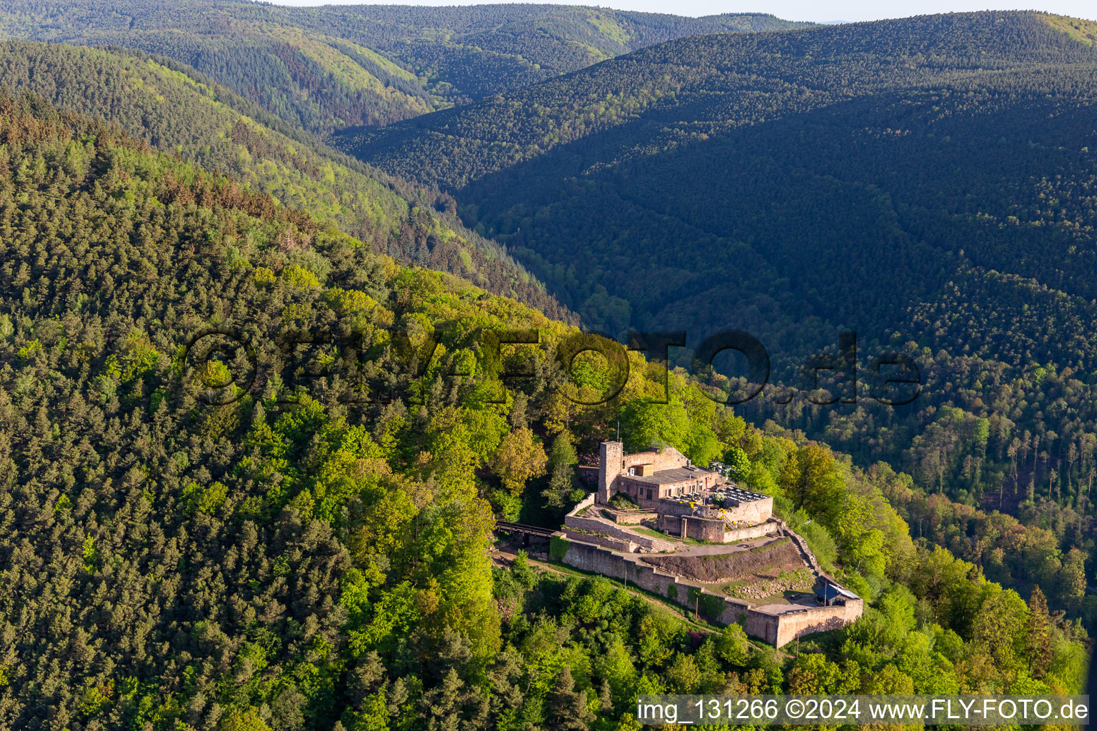 Vue aérienne de Ruines du château de Rietburg à le quartier Rhodt in Rhodt unter Rietburg dans le département Rhénanie-Palatinat, Allemagne