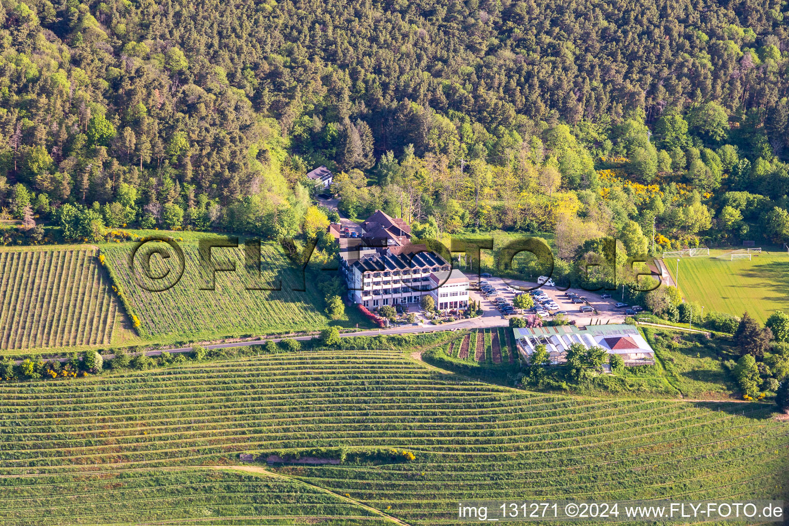 Vue aérienne de Hôtel Haus am Weinberg à le quartier SaintMartin in Sankt Martin dans le département Rhénanie-Palatinat, Allemagne