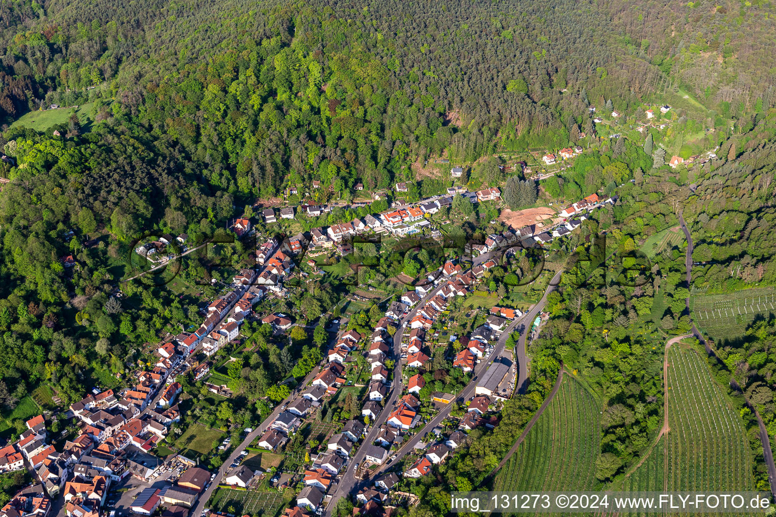 Vue aérienne de Quartier SaintMartin in Sankt Martin dans le département Rhénanie-Palatinat, Allemagne