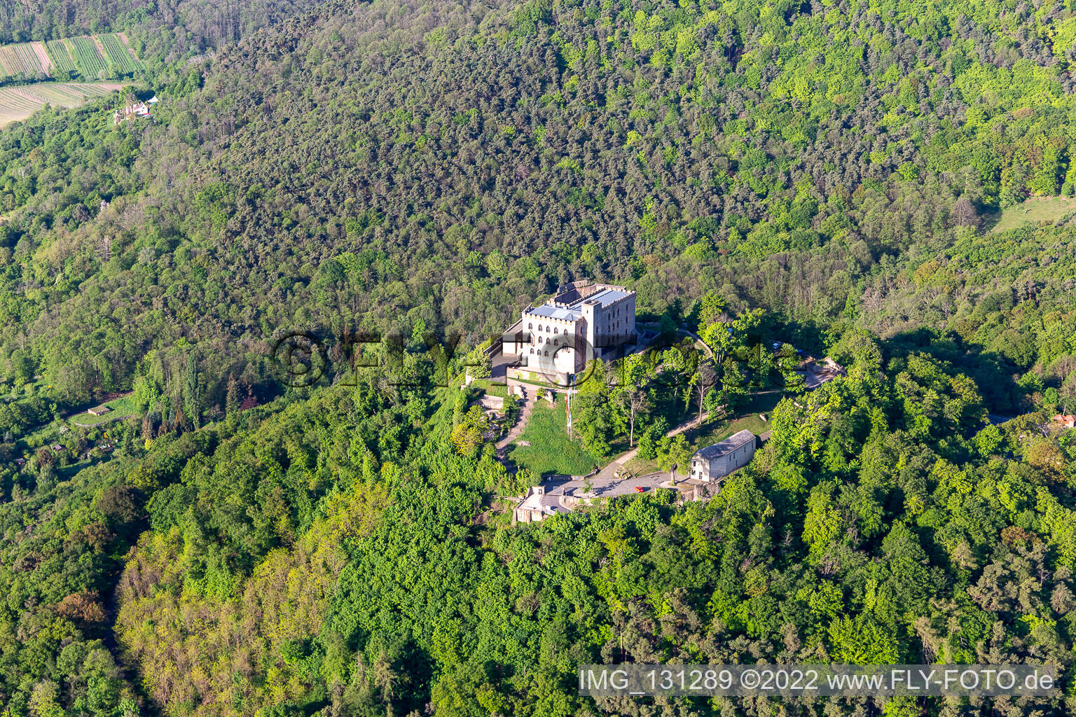 Vue oblique de Château de Hambach à le quartier Diedesfeld in Neustadt an der Weinstraße dans le département Rhénanie-Palatinat, Allemagne