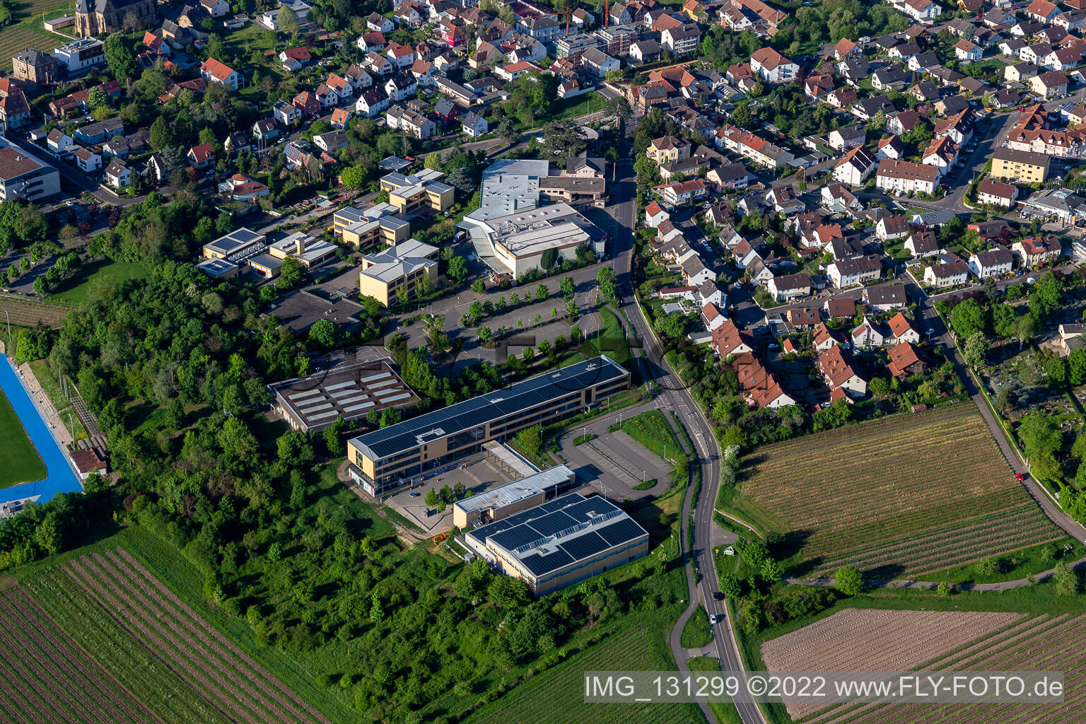 Vue aérienne de Lycée Edenkoben à Maikammer dans le département Rhénanie-Palatinat, Allemagne