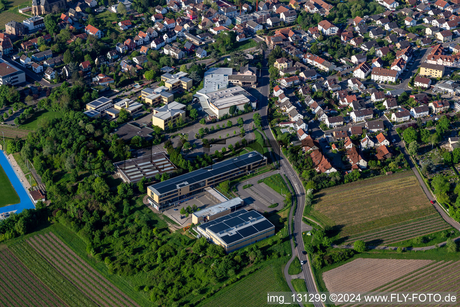 Vue aérienne de Lycée Edenkoben à Maikammer dans le département Rhénanie-Palatinat, Allemagne