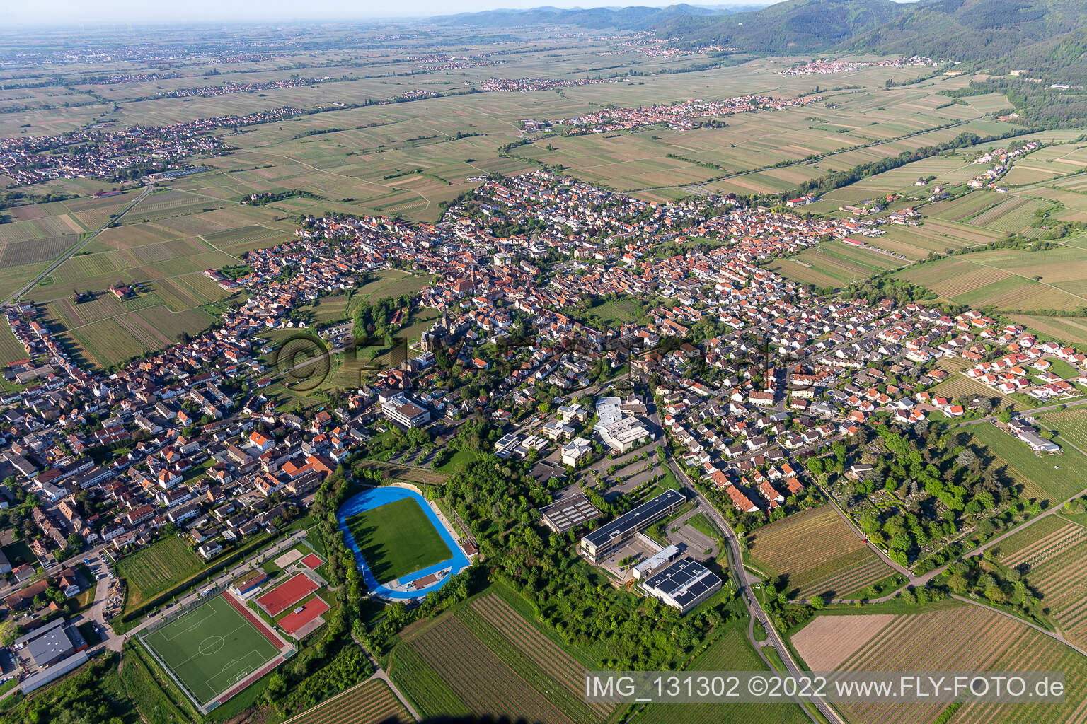 Edenkoben dans le département Rhénanie-Palatinat, Allemagne vue d'en haut