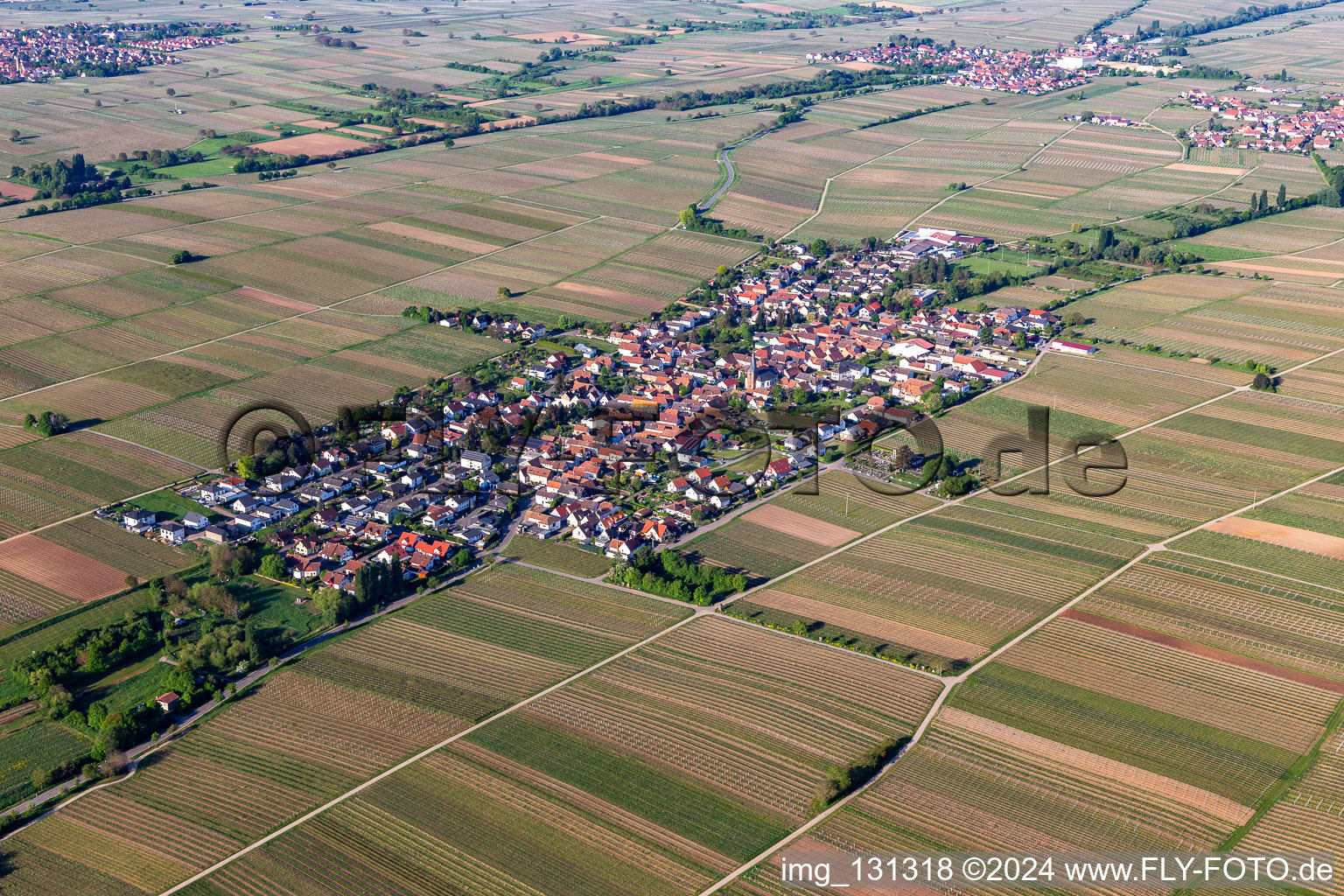 Roschbach dans le département Rhénanie-Palatinat, Allemagne vue du ciel