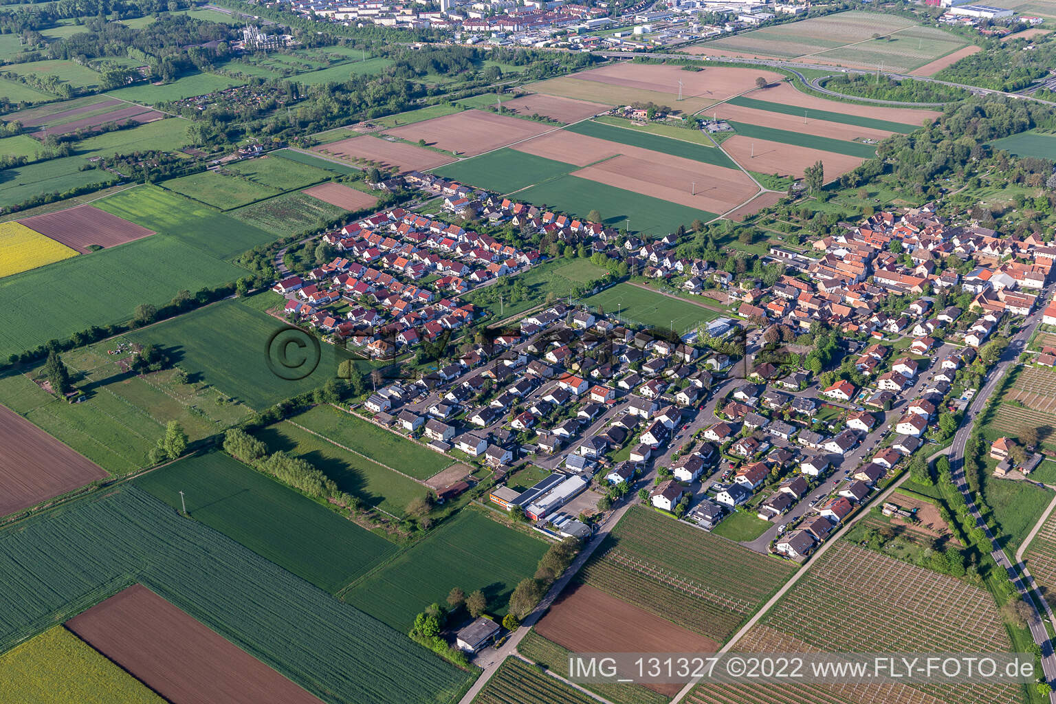 Image drone de Quartier Dammheim in Landau in der Pfalz dans le département Rhénanie-Palatinat, Allemagne