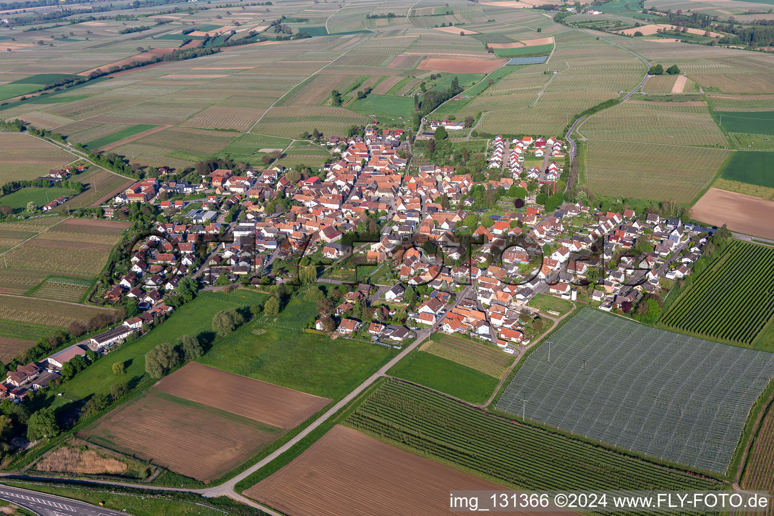 Impflingen dans le département Rhénanie-Palatinat, Allemagne vu d'un drone