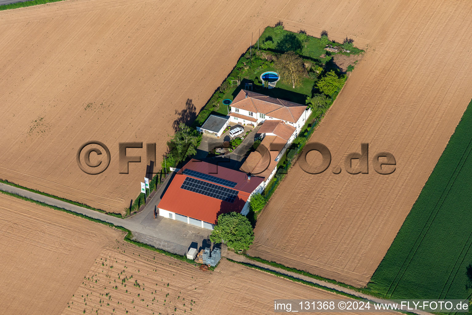 Vue oblique de Domaine viticole Bioland Neuspergerhof à Rohrbach dans le département Rhénanie-Palatinat, Allemagne