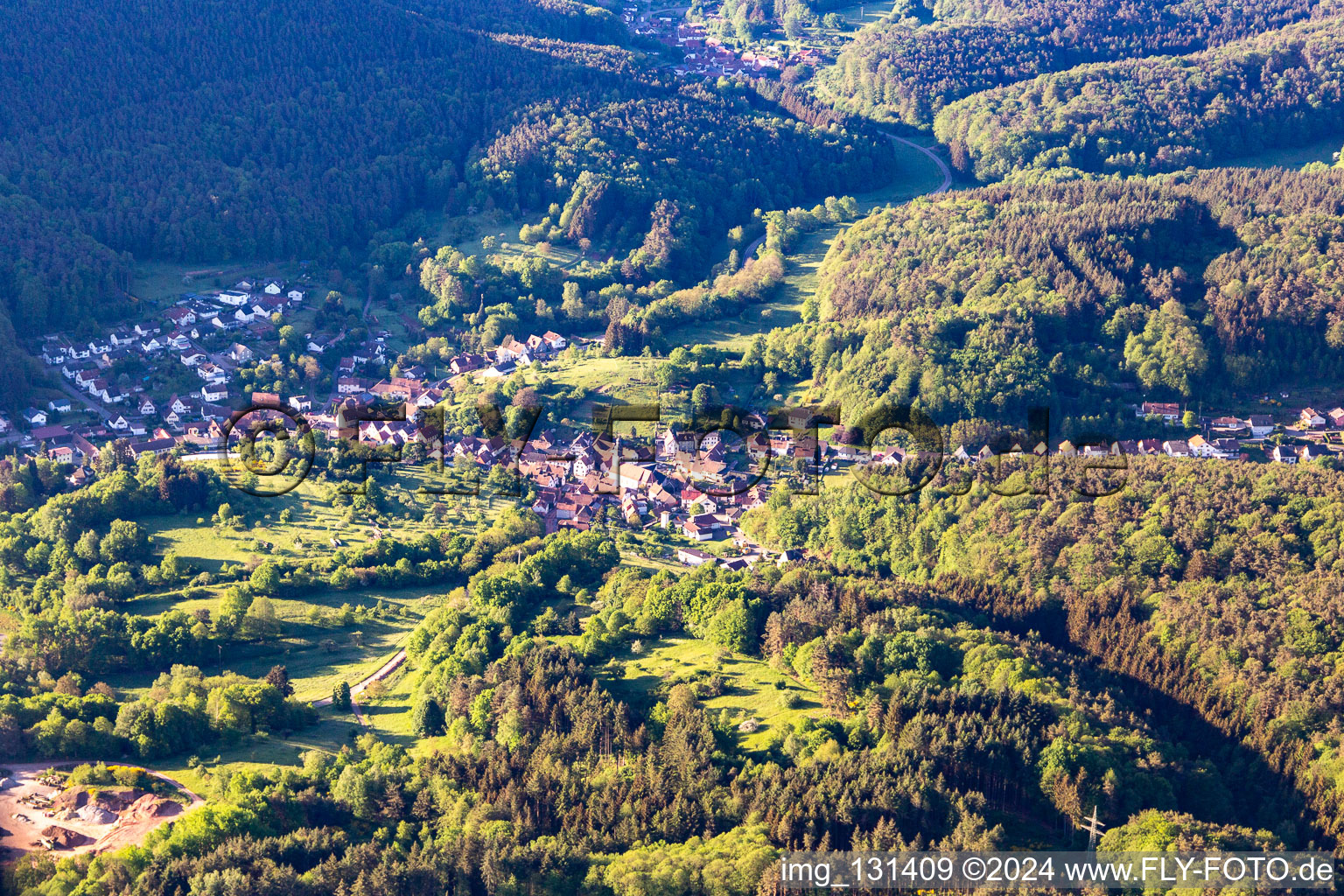 Schwanheim dans le département Rhénanie-Palatinat, Allemagne vue d'en haut