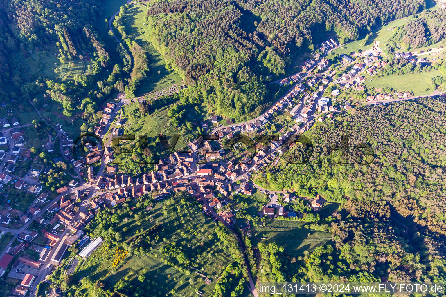 Enregistrement par drone de Schwanheim dans le département Rhénanie-Palatinat, Allemagne