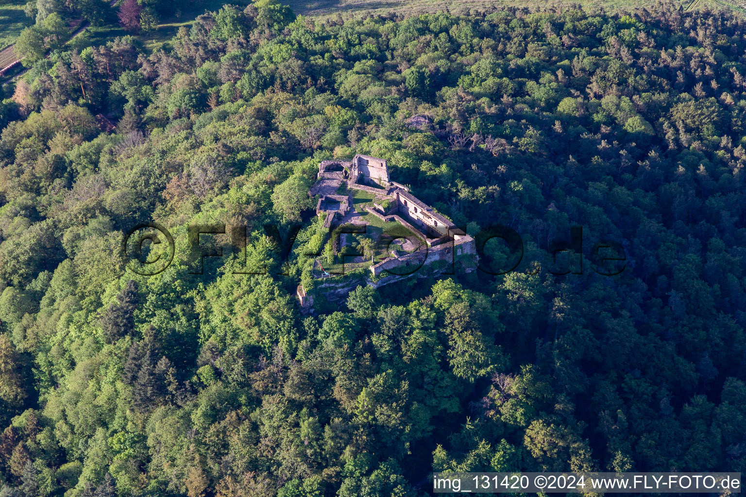 Vue aérienne de Ruines du château de Lindelbrunn à Vorderweidenthal dans le département Rhénanie-Palatinat, Allemagne