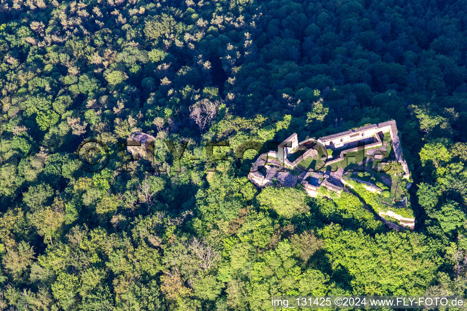 Photographie aérienne de Ruines du château de Lindelbrunn à Vorderweidenthal dans le département Rhénanie-Palatinat, Allemagne