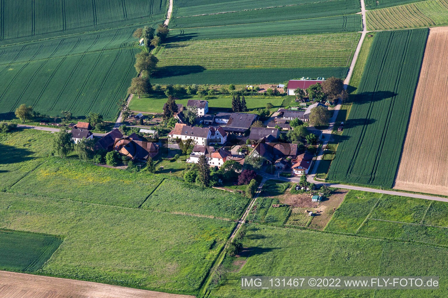 Photographie aérienne de Vins et vins mousseux Däuwel à le quartier Deutschhof in Kapellen-Drusweiler dans le département Rhénanie-Palatinat, Allemagne