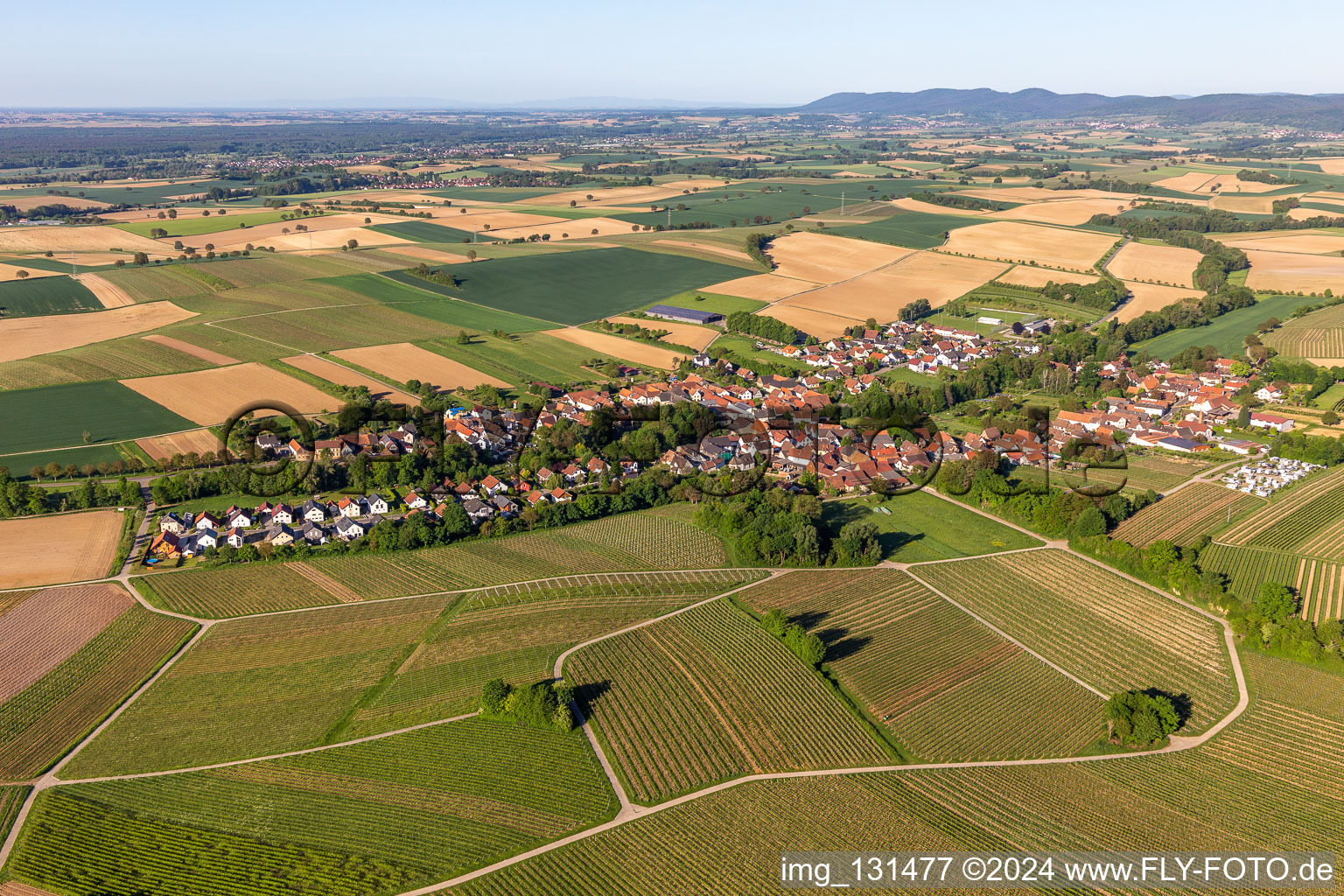 Dierbach dans le département Rhénanie-Palatinat, Allemagne vue du ciel