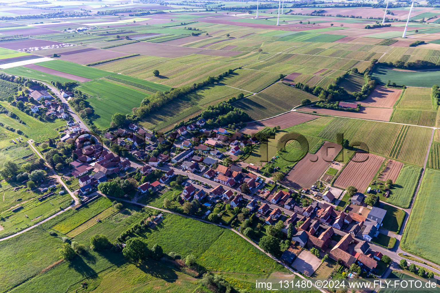 Hergersweiler dans le département Rhénanie-Palatinat, Allemagne depuis l'avion