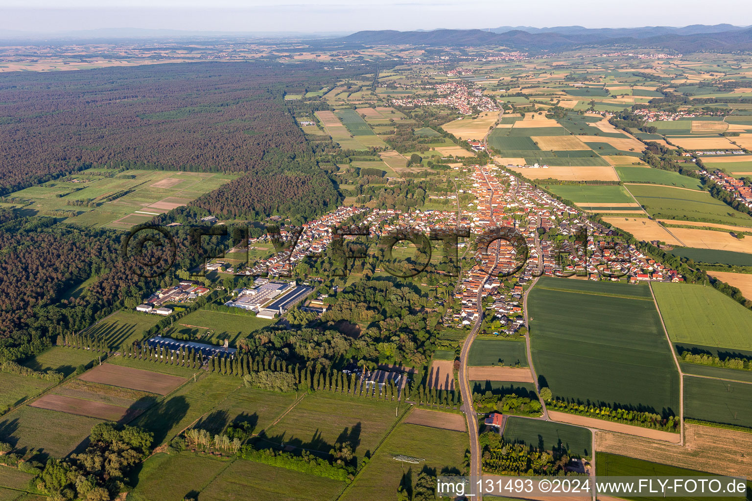 Quartier Schaidt in Wörth am Rhein dans le département Rhénanie-Palatinat, Allemagne vu d'un drone