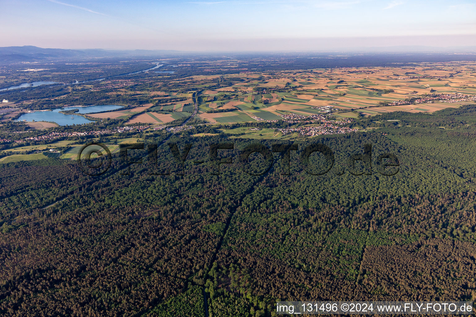 Scheibenhard dans le département Bas Rhin, France vu d'un drone