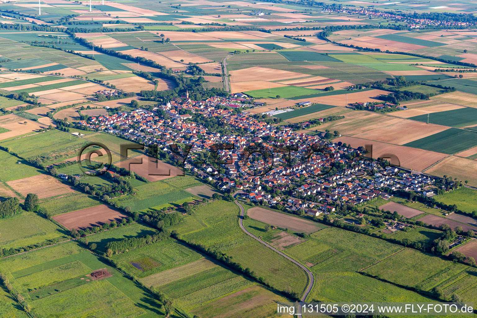 Minfeld dans le département Rhénanie-Palatinat, Allemagne vue d'en haut