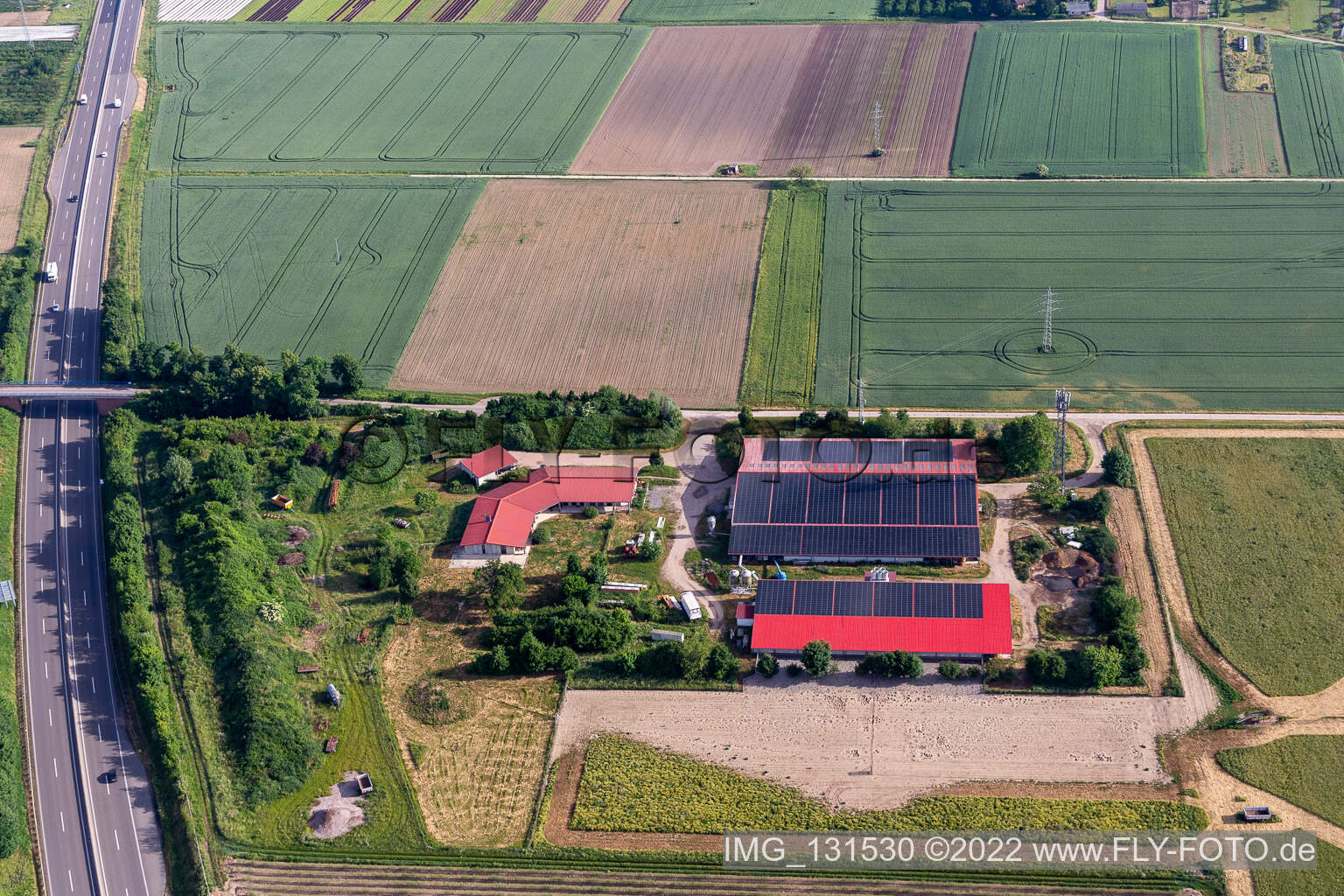 Erlenbach bei Kandel dans le département Rhénanie-Palatinat, Allemagne vu d'un drone