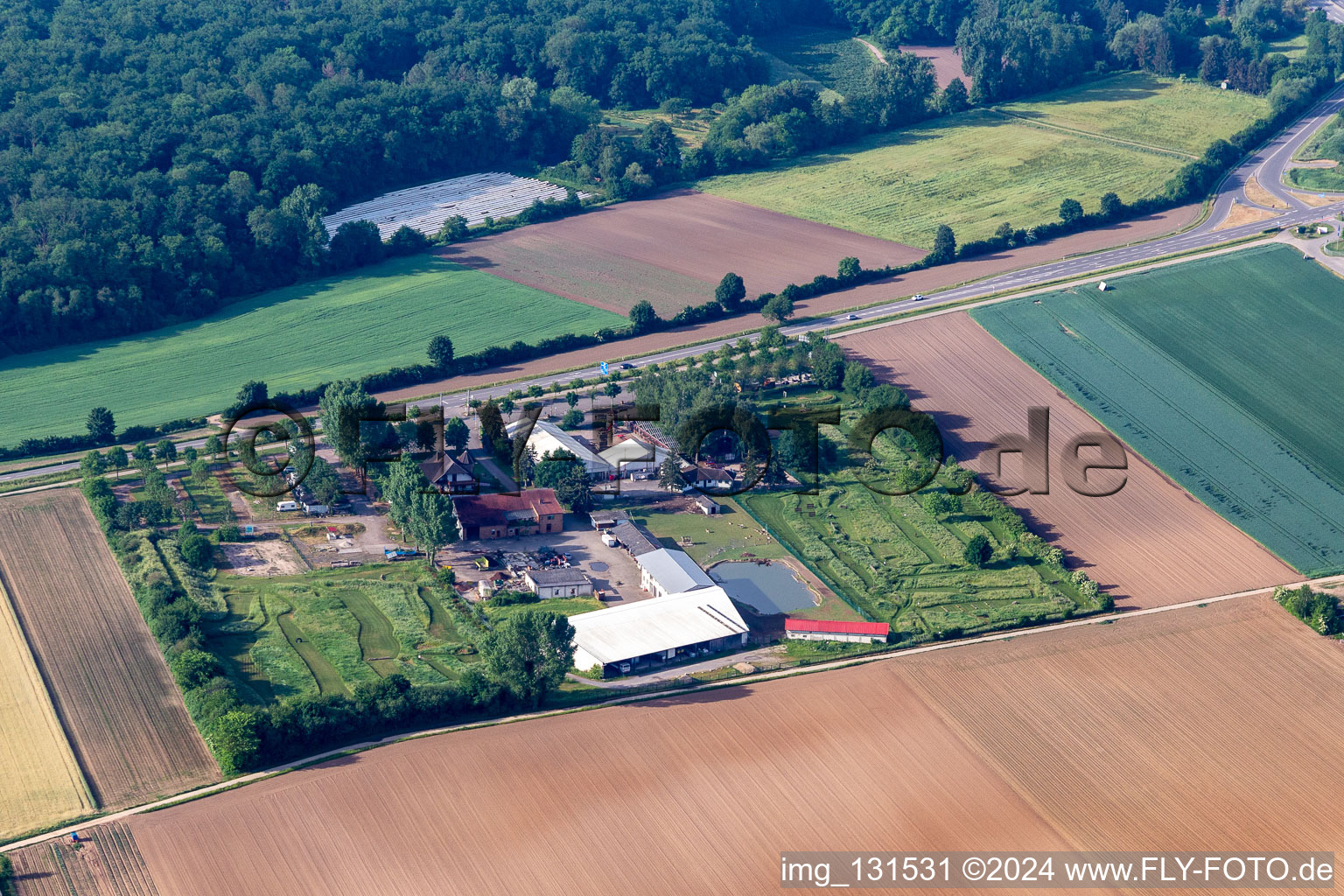 Vue aérienne de Parc de golf de football du Palatinat du Sud près d'Adamshof à Kandel dans le département Rhénanie-Palatinat, Allemagne