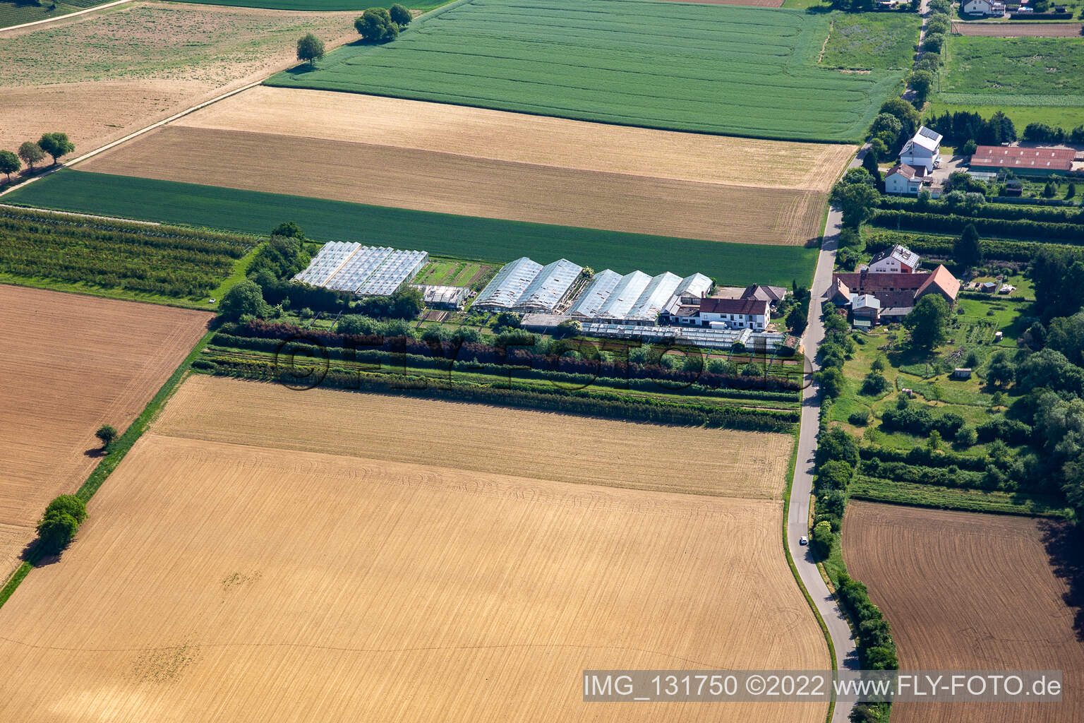 Photographie aérienne de Dieter Schmeißer coupe vert à Vollmersweiler dans le département Rhénanie-Palatinat, Allemagne