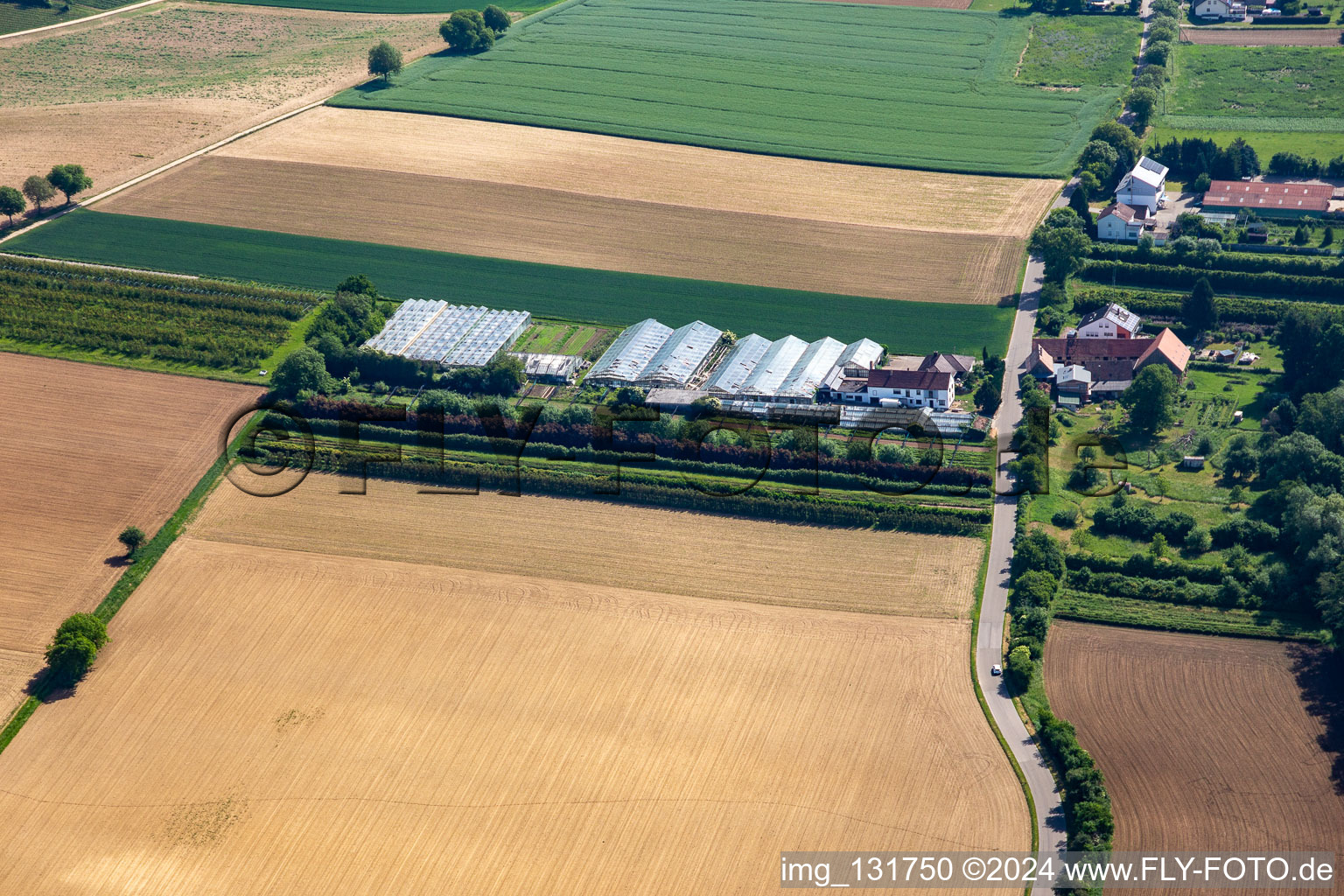 Photographie aérienne de Dieter Schmeißer coupe vert à Vollmersweiler dans le département Rhénanie-Palatinat, Allemagne