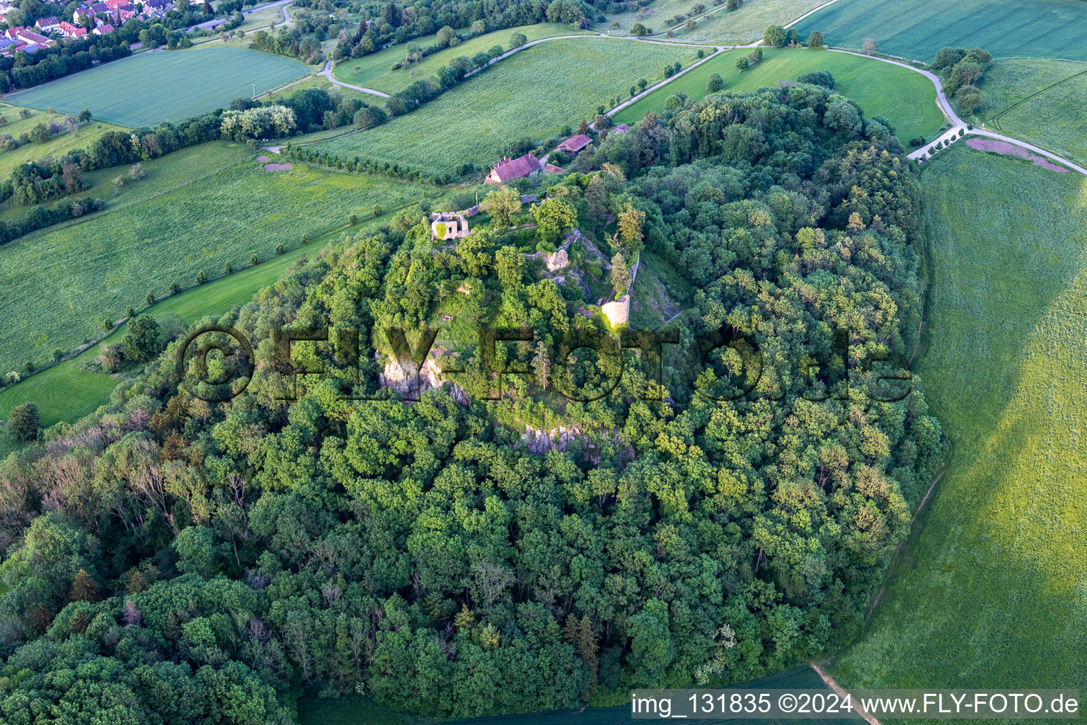 Vue oblique de Ruines du château de Hohenkrähen à le quartier Duchtlingen in Hilzingen dans le département Bade-Wurtemberg, Allemagne