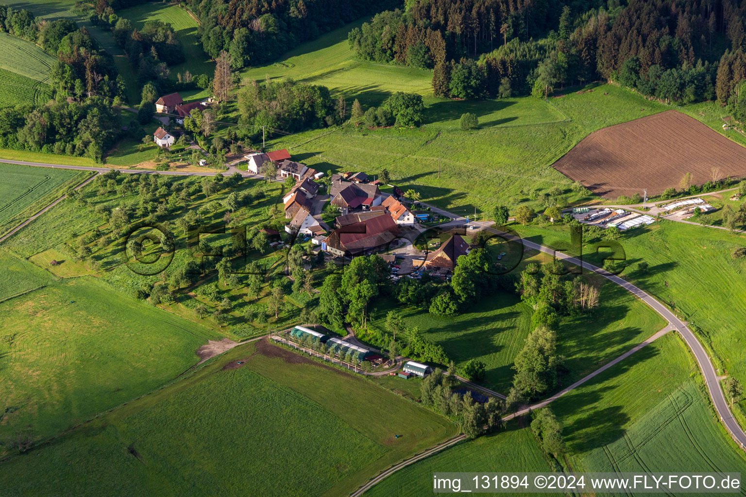 Vue aérienne de Quartier Waldbeuren in Ostrach dans le département Bade-Wurtemberg, Allemagne