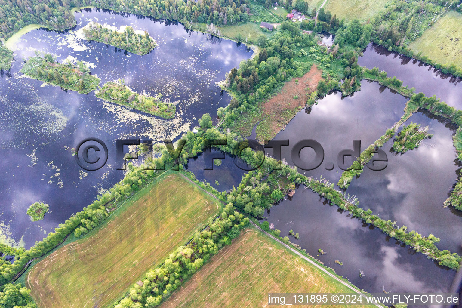 Vue aérienne de Moorseen Pfrungener-Burgweiler Ried à le quartier Pfrungen in Wilhelmsdorf dans le département Bade-Wurtemberg, Allemagne