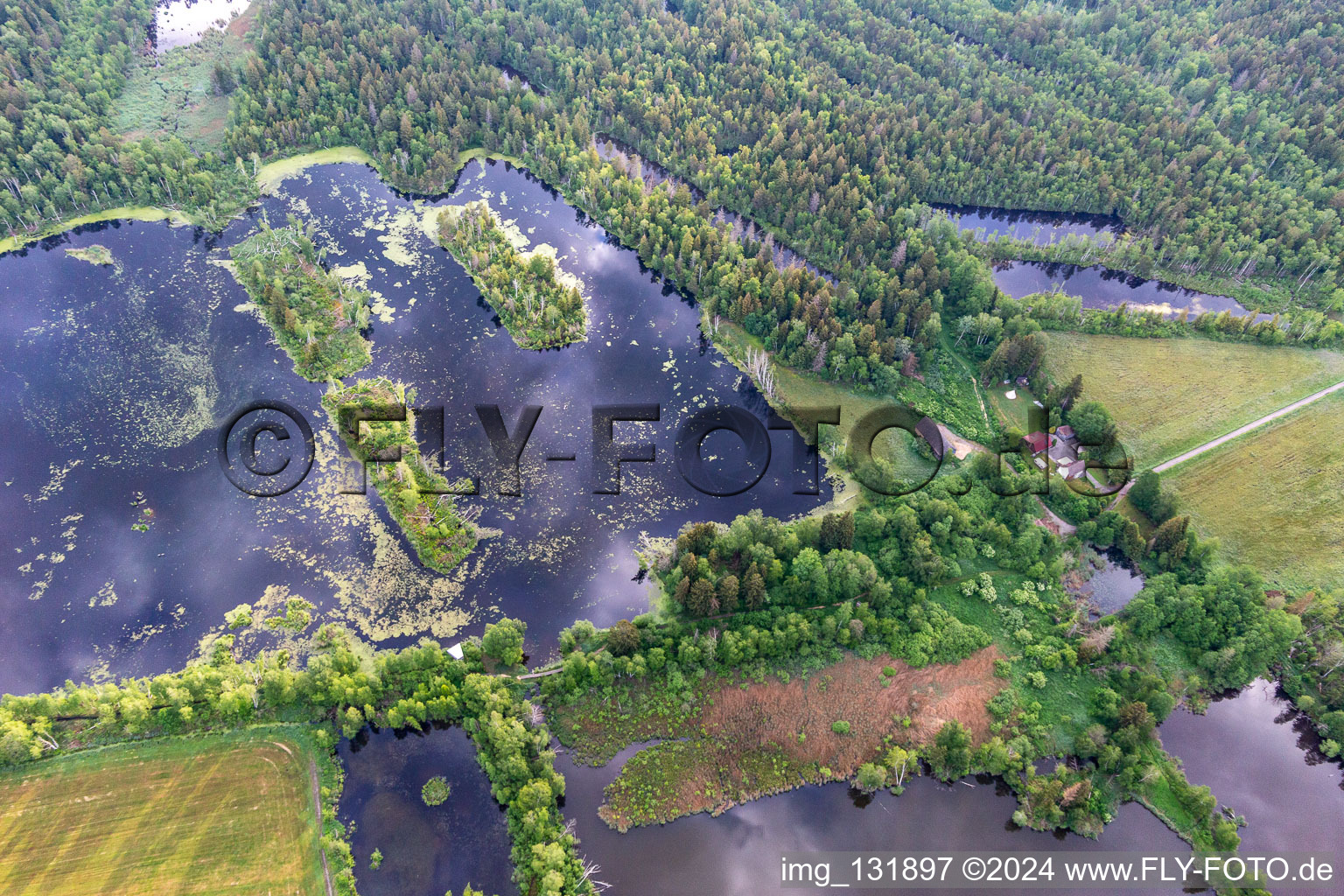 Photographie aérienne de Moorseen Pfrungener-Burgweiler Ried à Wilhelmsdorf dans le département Bade-Wurtemberg, Allemagne