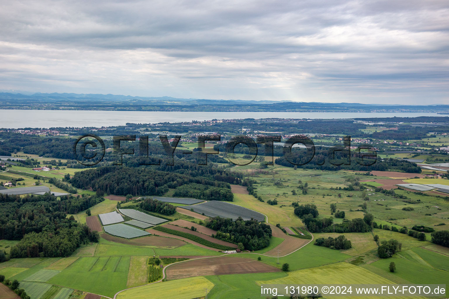 Vue aérienne de Panorama du lac de Constance depuis à Friedrichshafen dans le département Bade-Wurtemberg, Allemagne