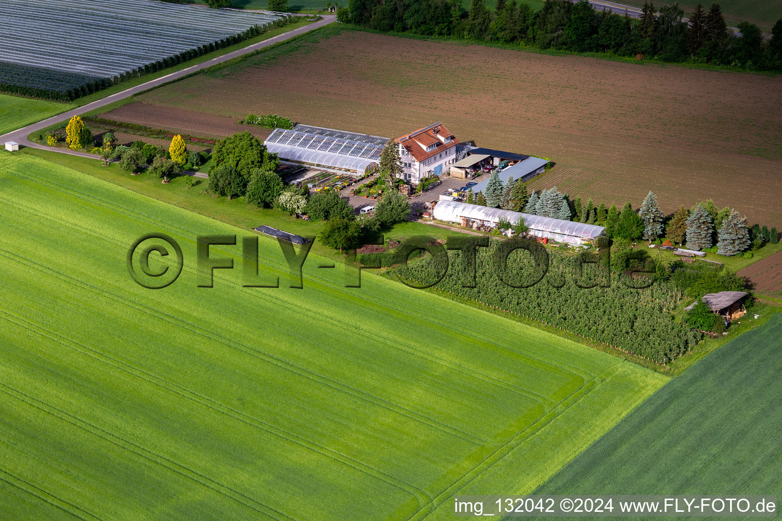 Vue aérienne de Jardinage et fleuristerie Hodapp à le quartier Altheim in Frickingen dans le département Bade-Wurtemberg, Allemagne