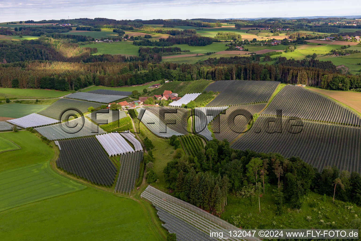 Vue aérienne de Frickingen dans le département Bade-Wurtemberg, Allemagne