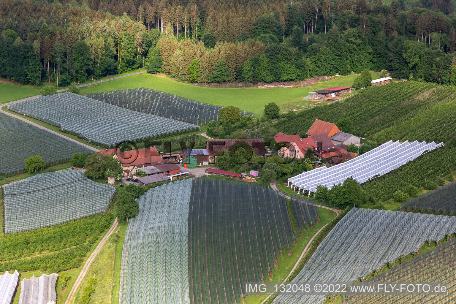Photographie aérienne de Frickingen dans le département Bade-Wurtemberg, Allemagne