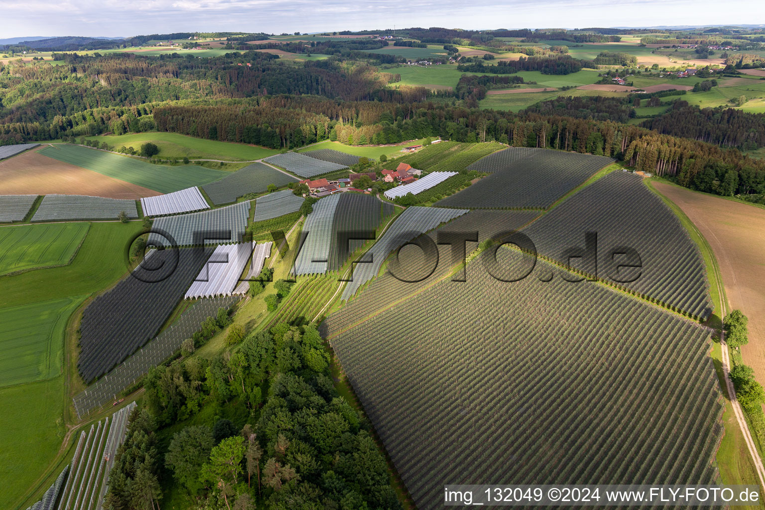 Quartier Altheim in Frickingen dans le département Bade-Wurtemberg, Allemagne d'en haut