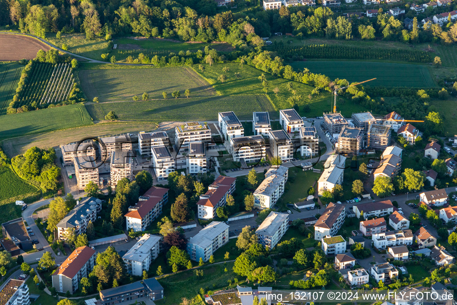 Vue aérienne de Anna-Zentgraf-Strasse à le quartier Kogenbach in Überlingen dans le département Bade-Wurtemberg, Allemagne