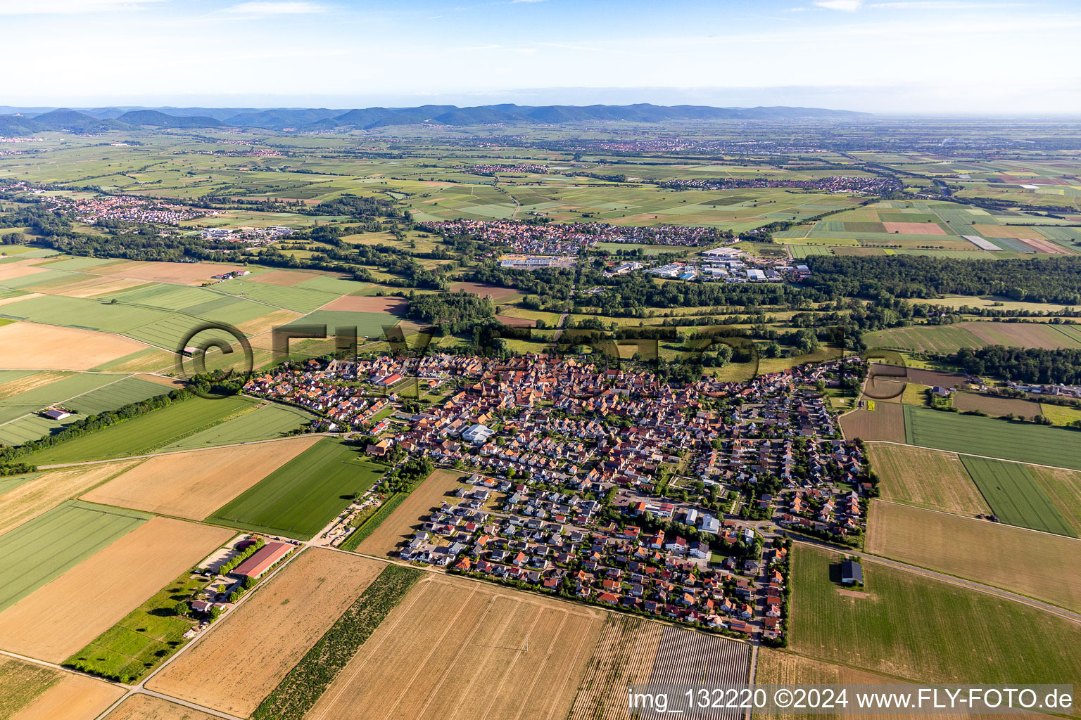 Vue aérienne de Steinweiler dans le département Rhénanie-Palatinat, Allemagne