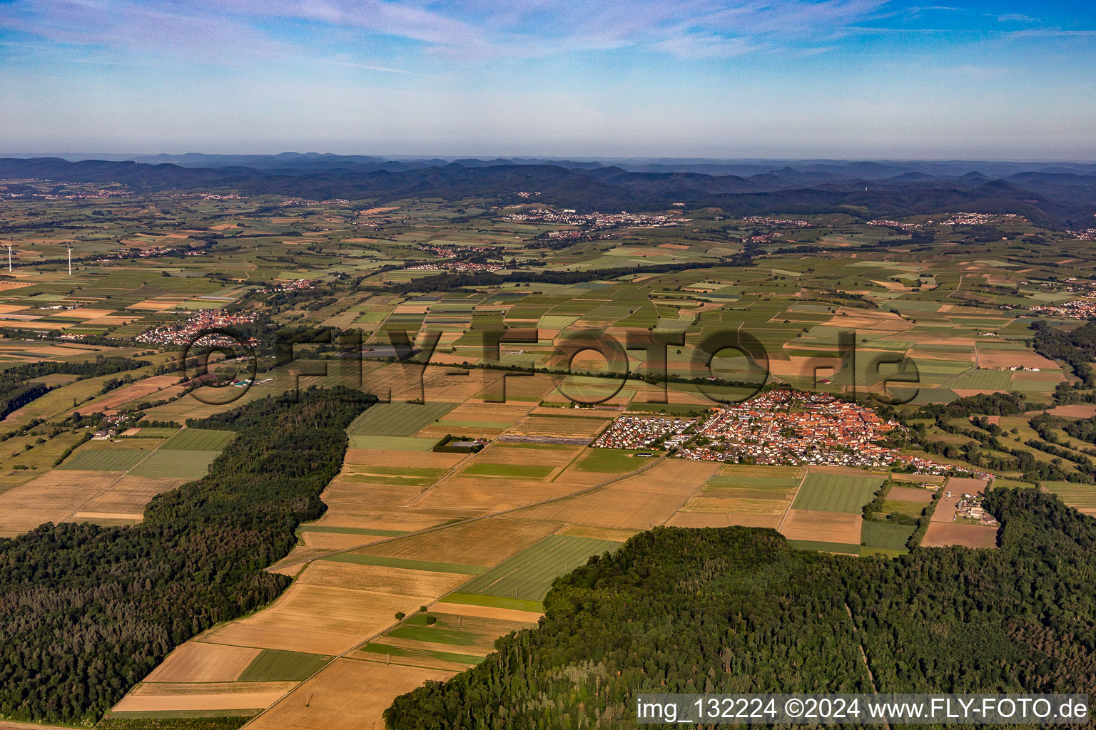 Vue aérienne de Panorama du Palatinat du Sud Dierbachchtal à Steinweiler dans le département Rhénanie-Palatinat, Allemagne