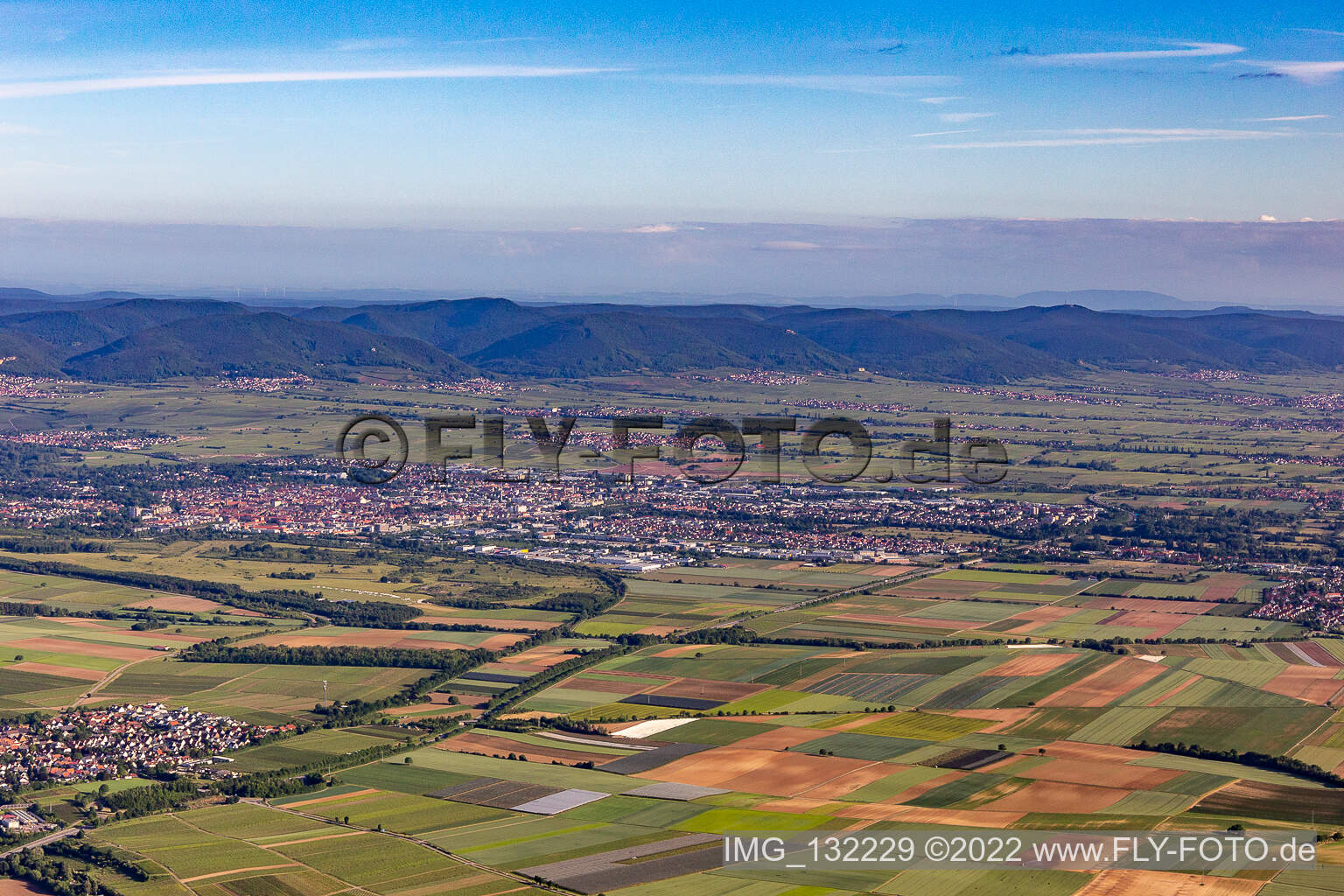 Quartier Queichheim in Landau in der Pfalz dans le département Rhénanie-Palatinat, Allemagne vue d'en haut