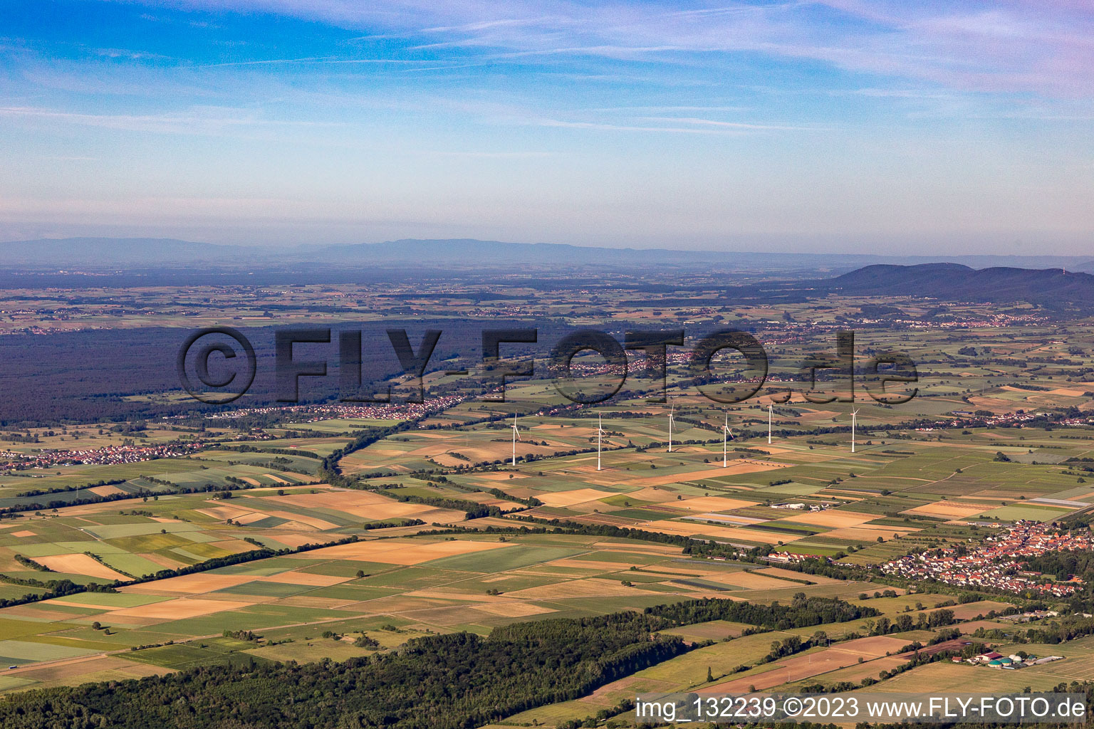 Vue aérienne de Panorama du Palatinat du Sud Viestrich et Bienwald à Freckenfeld dans le département Rhénanie-Palatinat, Allemagne